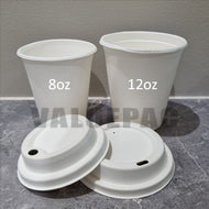 Bagasse Cup 8oz and Lid